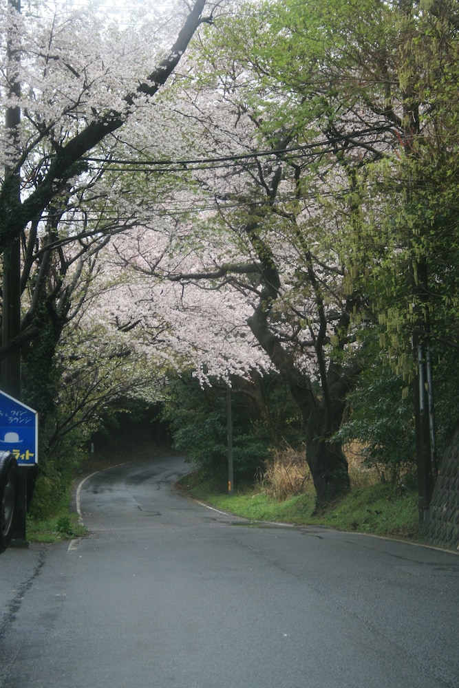 熱川館 東伊豆