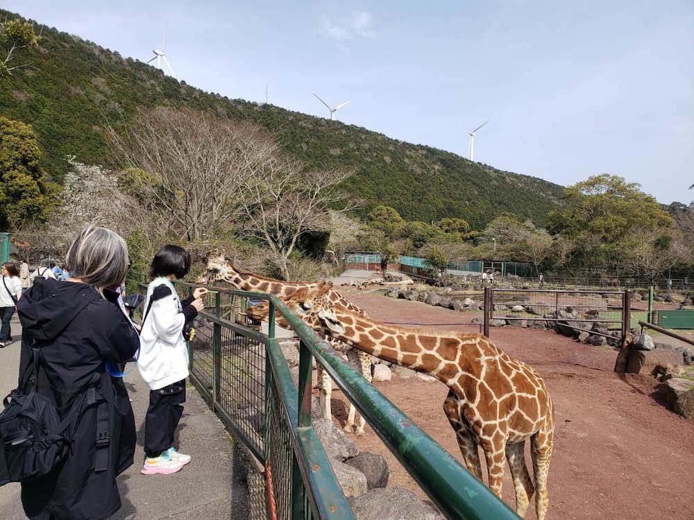 熱川館 東伊豆