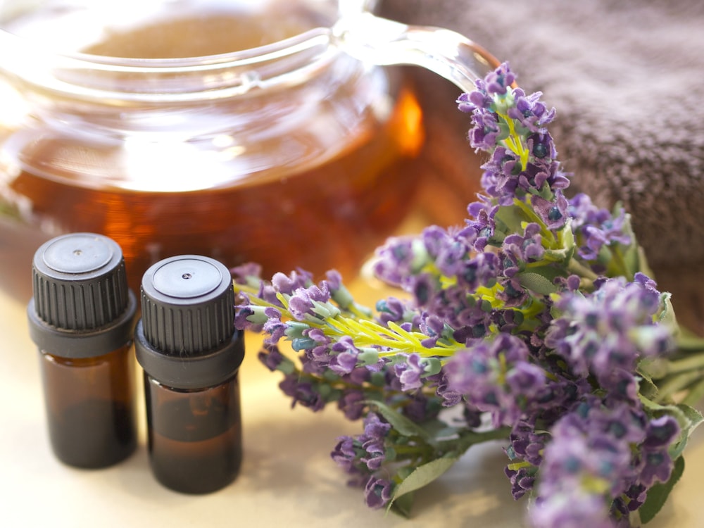 心湯の宿 ～SAZANA～ 東伊豆