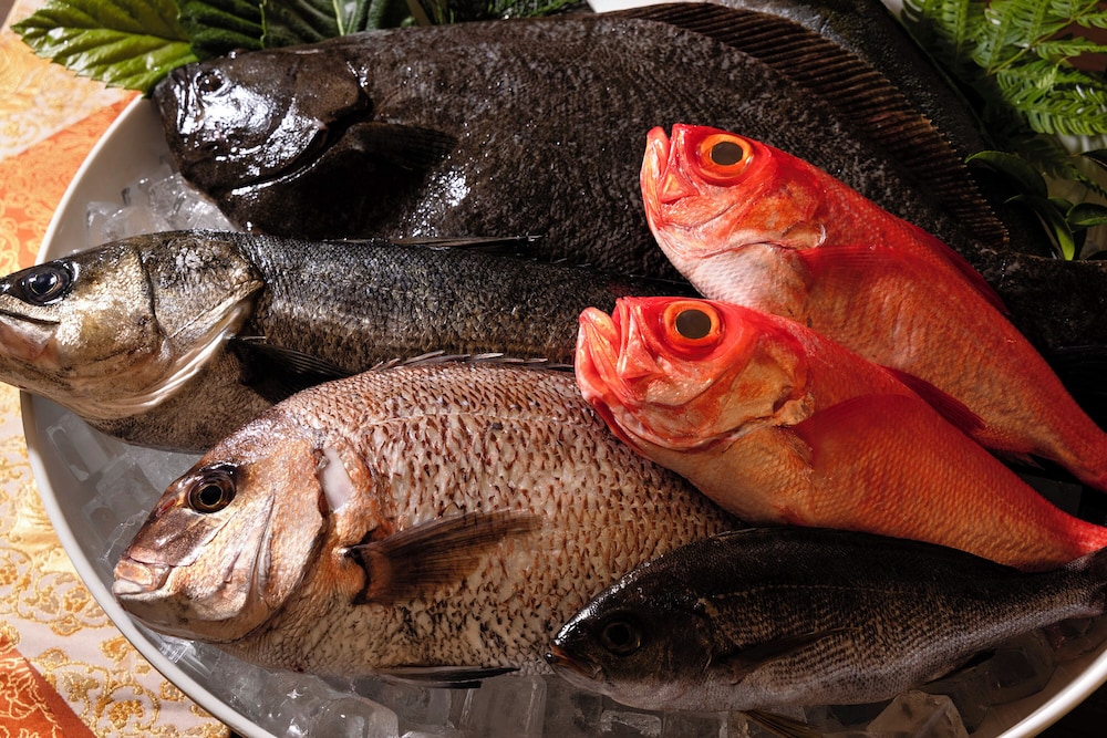 心湯の宿 ～SAZANA～ 東伊豆