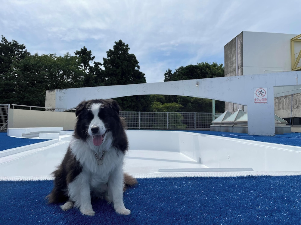 伊豆高原わんわんパラダイスコンドミニアム 東伊豆