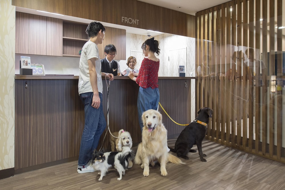 伊豆高原わんわんパラダイスコンドミニアム 東伊豆
