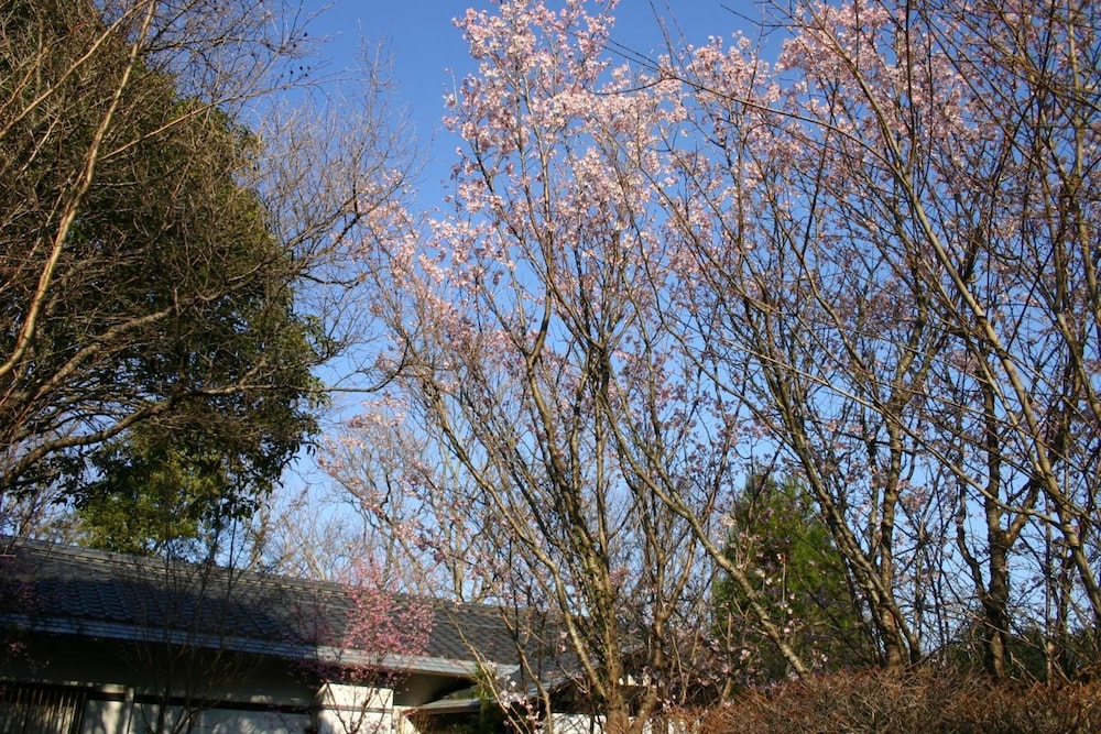 花吹雪 東伊豆