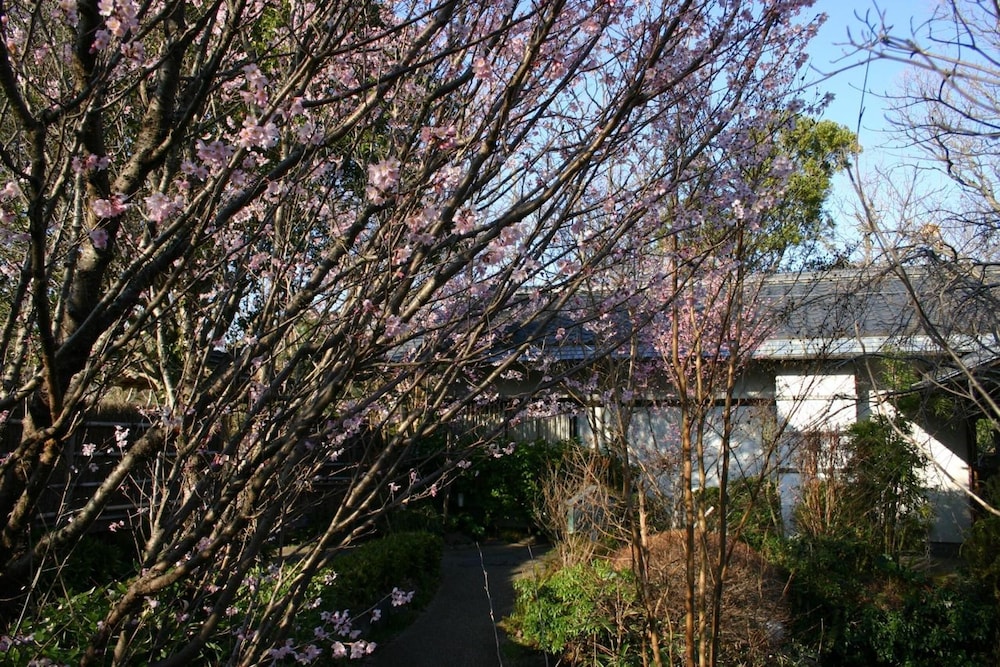 花吹雪 東伊豆