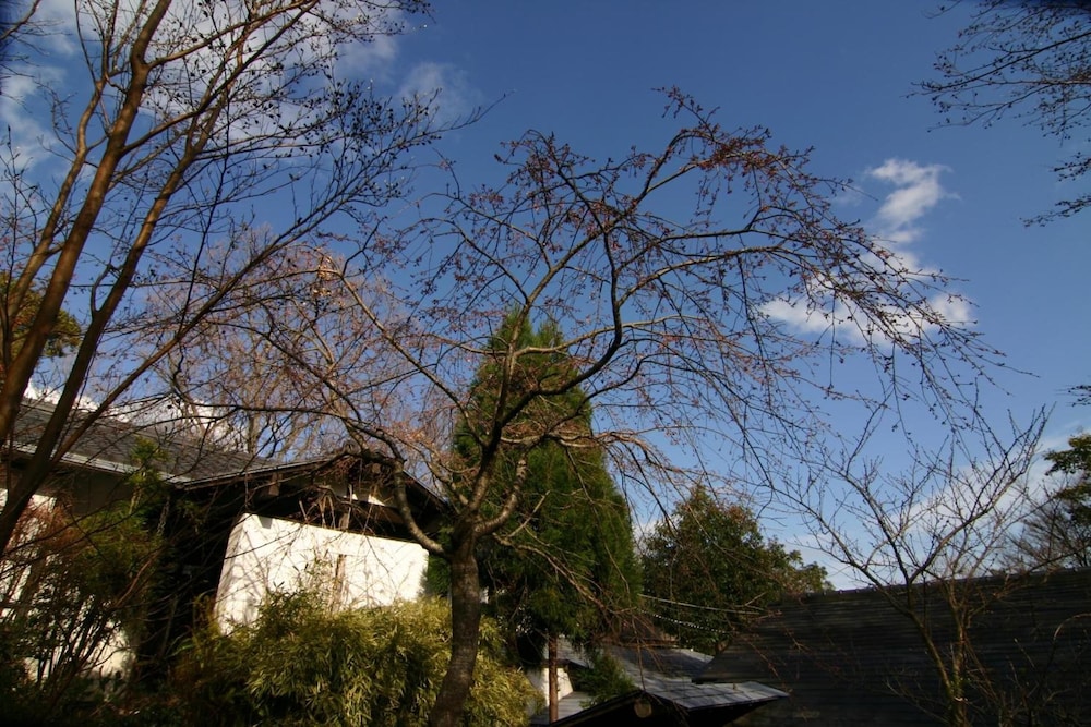 花吹雪 東伊豆