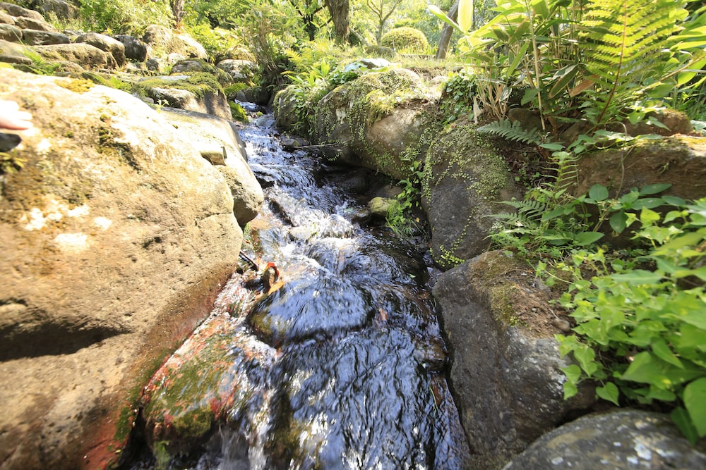 伊豆網代温泉 松風苑 東伊豆