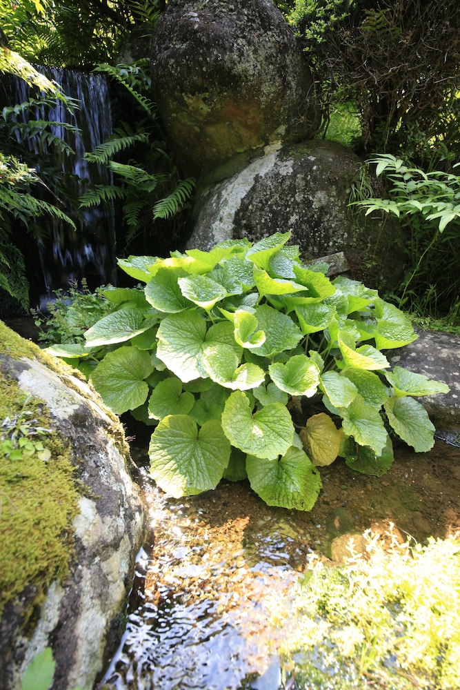 伊豆網代温泉 松風苑 東伊豆