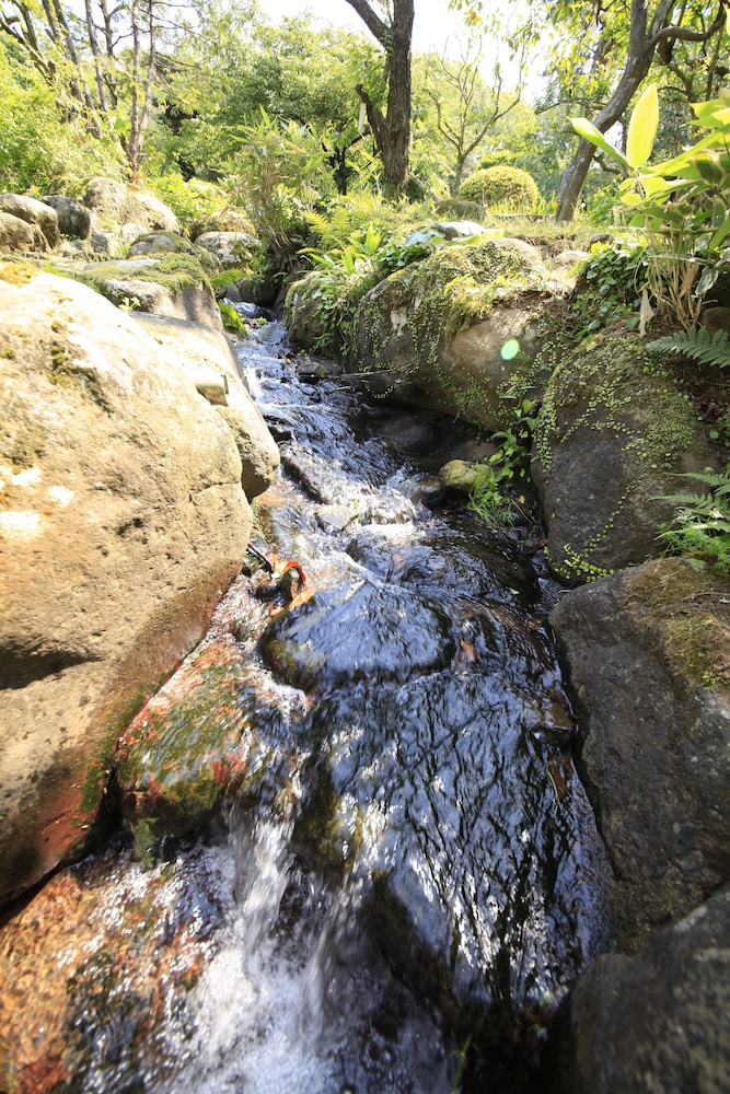 伊豆網代温泉 松風苑 東伊豆