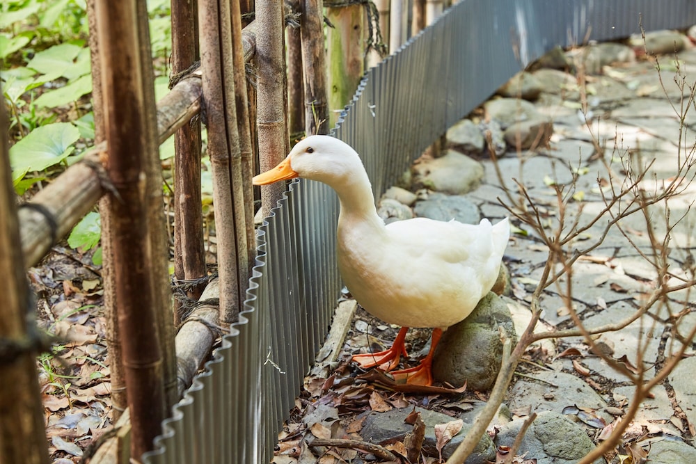 花のおもてなし南楽 東伊豆