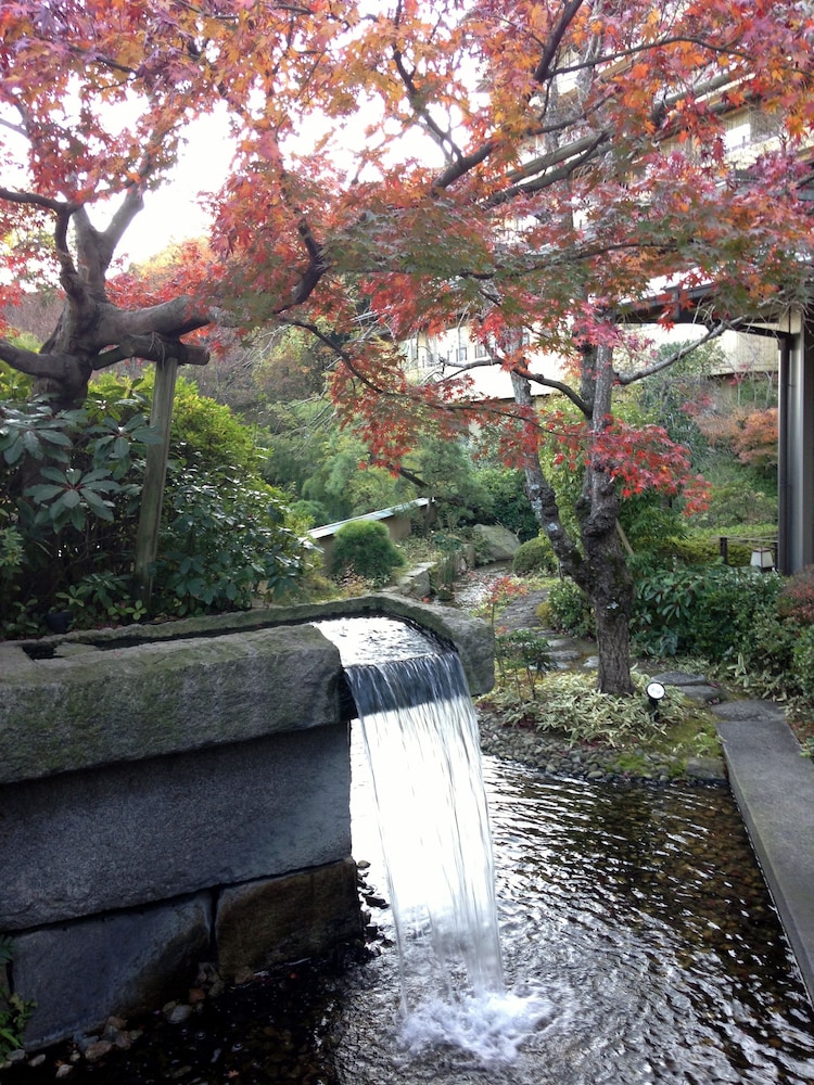 青山やまと 東伊豆