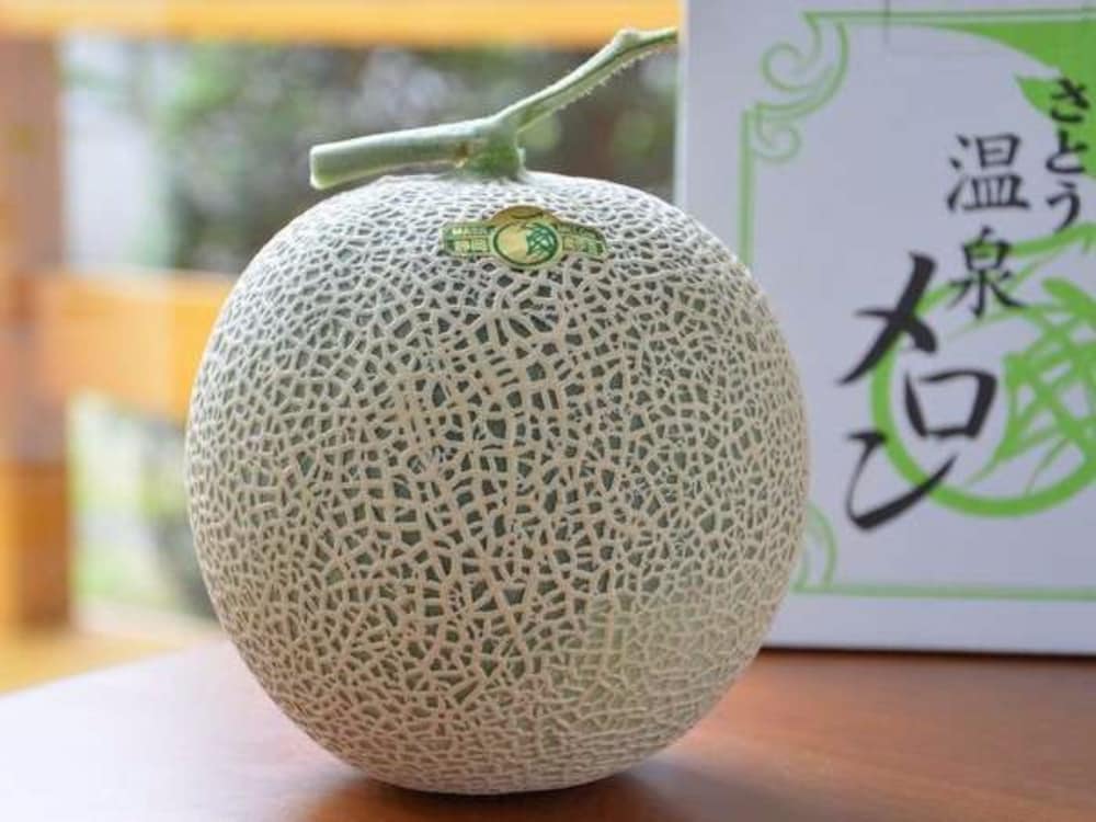 ホテル河内屋 東伊豆