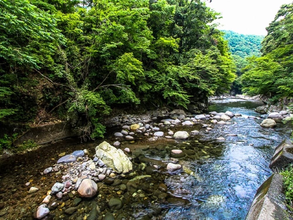 リブマックスリゾート天城湯ヶ島 東伊豆