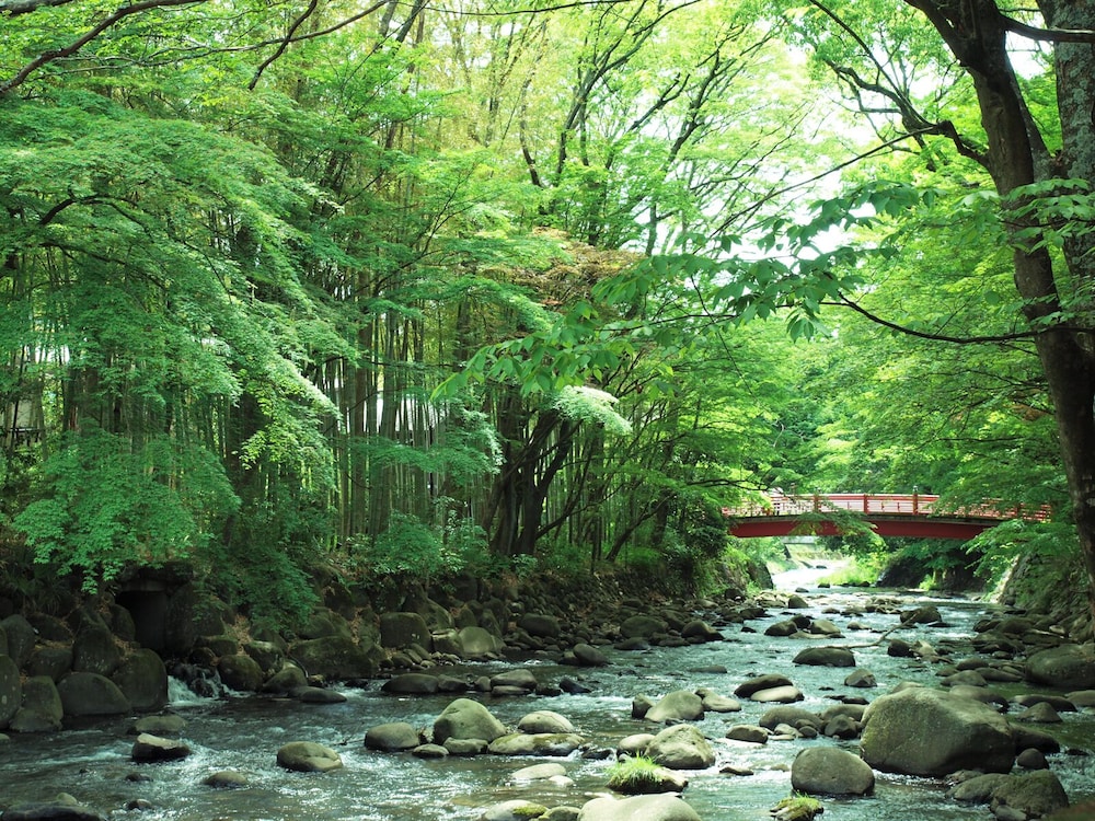 新井旅館 東伊豆