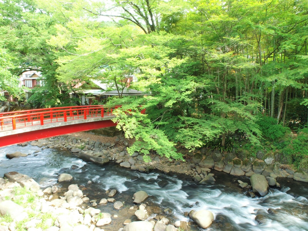 新井旅館 東伊豆