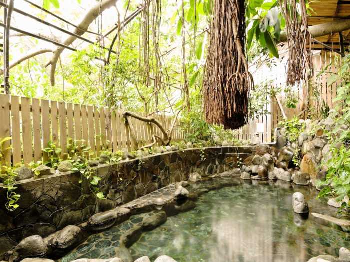 源泉湯守り　玉翠館 東伊豆