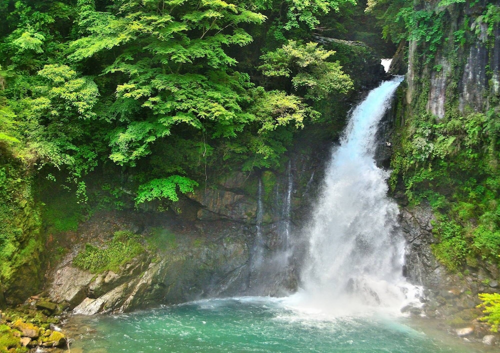 自家源泉の宿 竜宮の使い 東伊豆