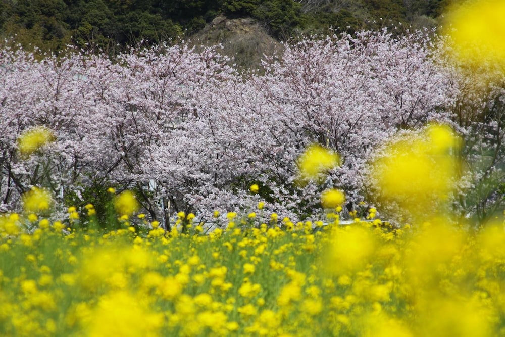 ゲストハウス SORA 東伊豆