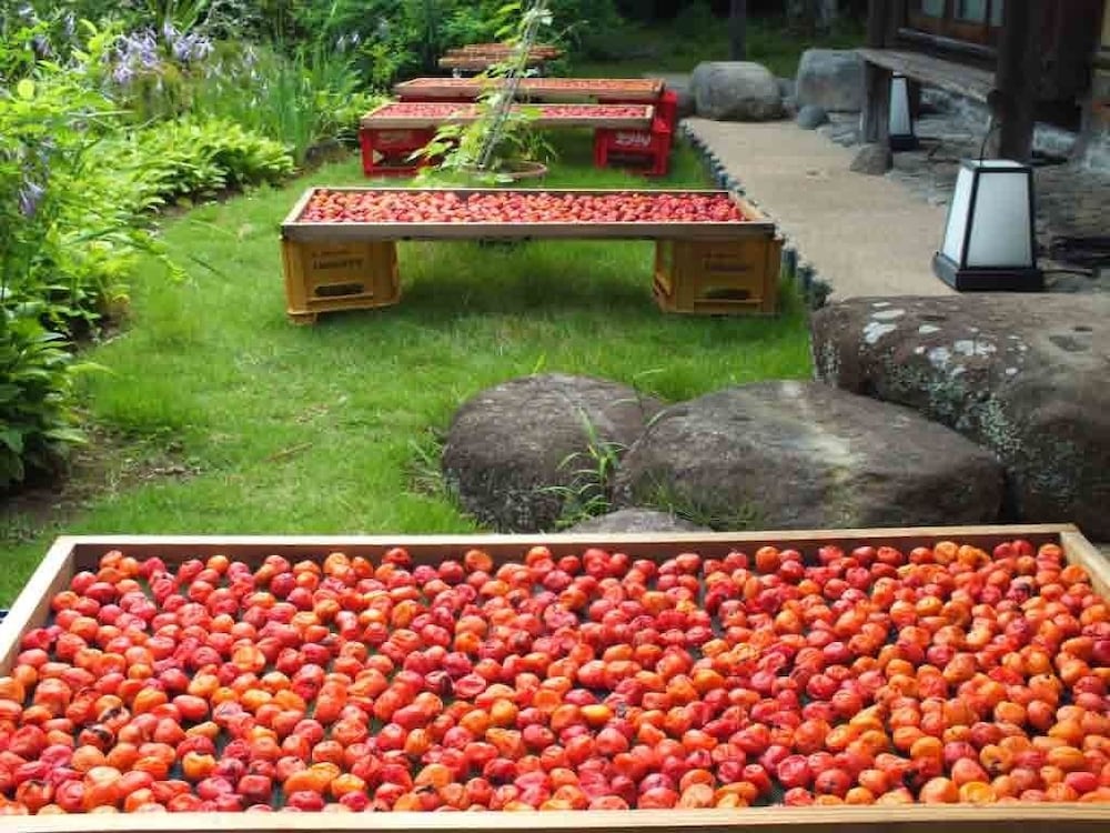 離れ家　石田屋 東伊豆