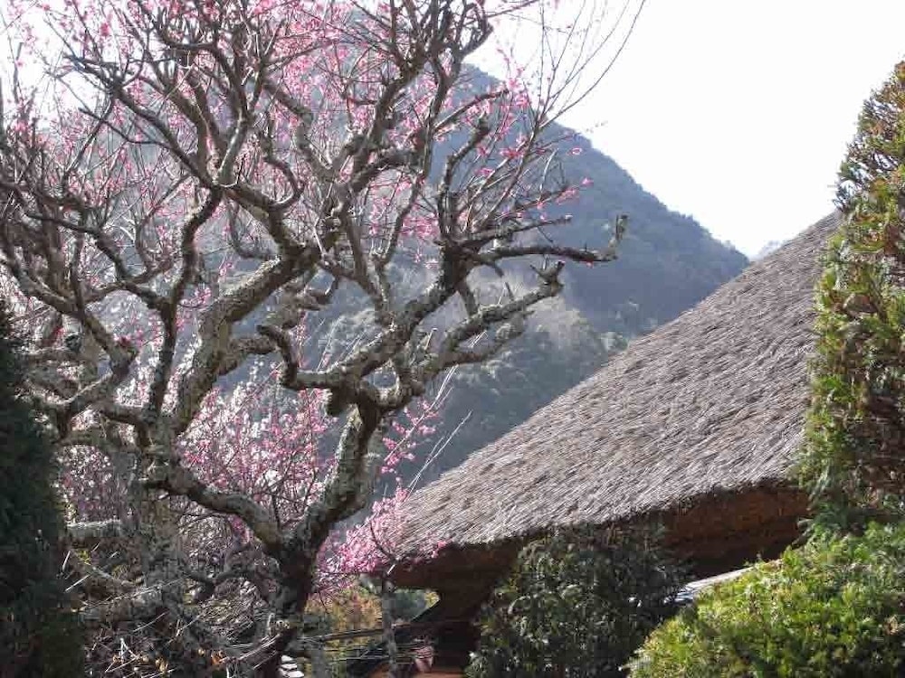 離れ家　石田屋 東伊豆