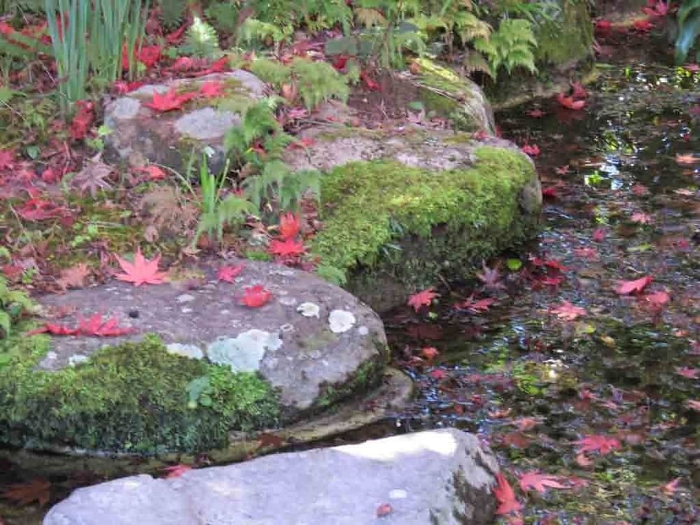 離れ家　石田屋 東伊豆