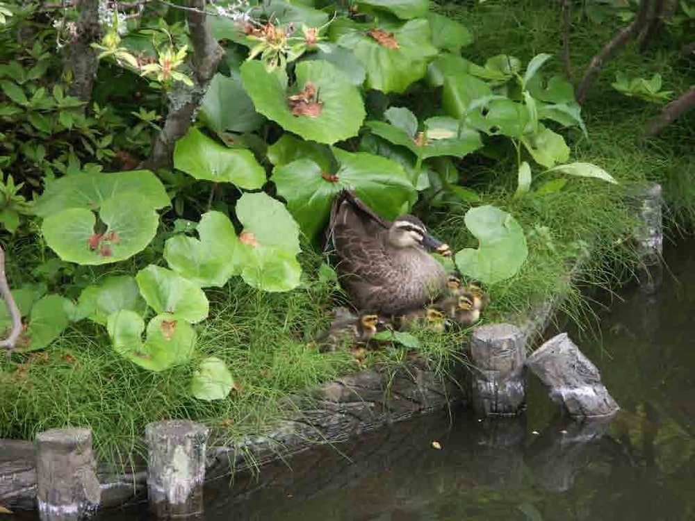 離れ家　石田屋 東伊豆