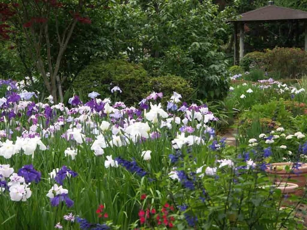 離れ家　石田屋 東伊豆