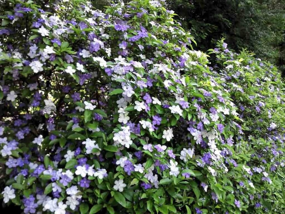 離れ家　石田屋 東伊豆