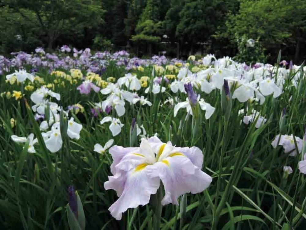 離れ家　石田屋 東伊豆
