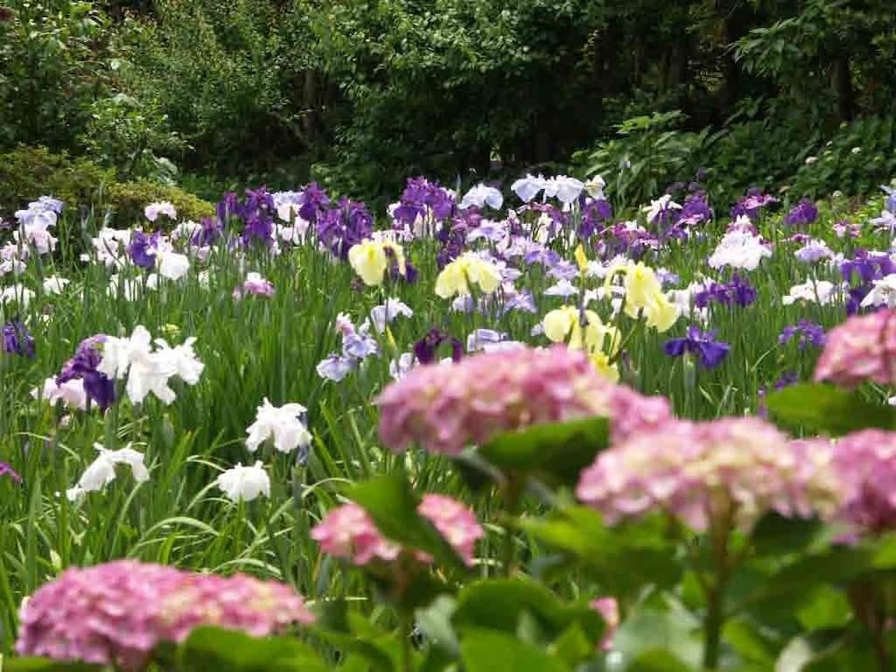 離れ家　石田屋 東伊豆