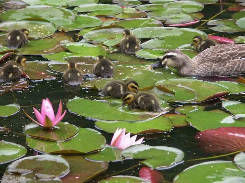 離れ家　石田屋 東伊豆