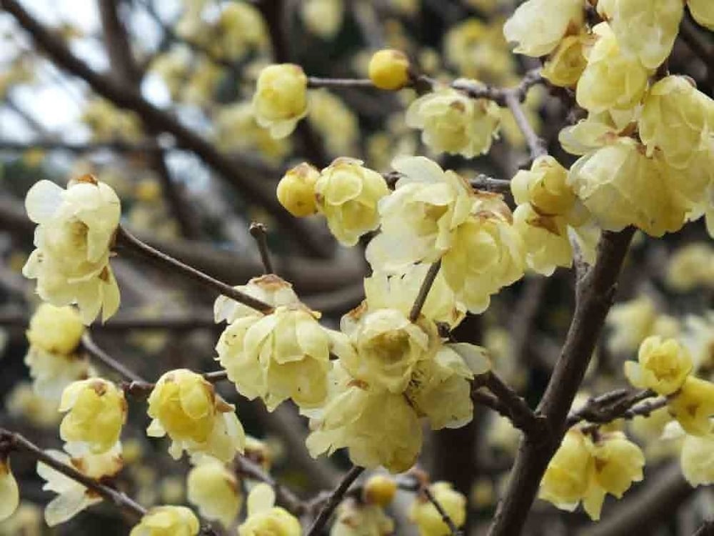 離れ家　石田屋 東伊豆
