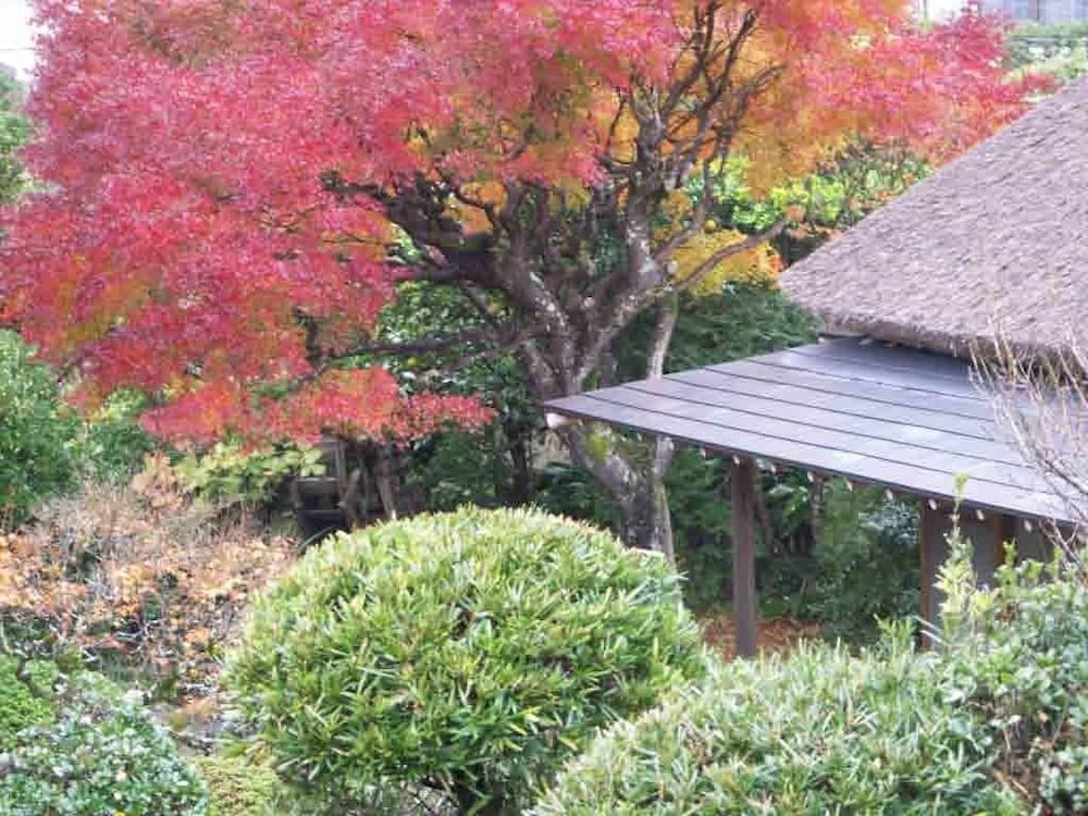 離れ家　石田屋 東伊豆