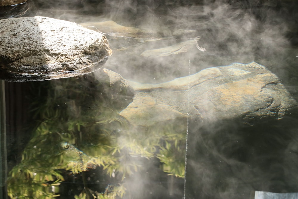 AMIS DROLES アミ・ドローラ＜LIBERTY RESORT＞ 東伊豆