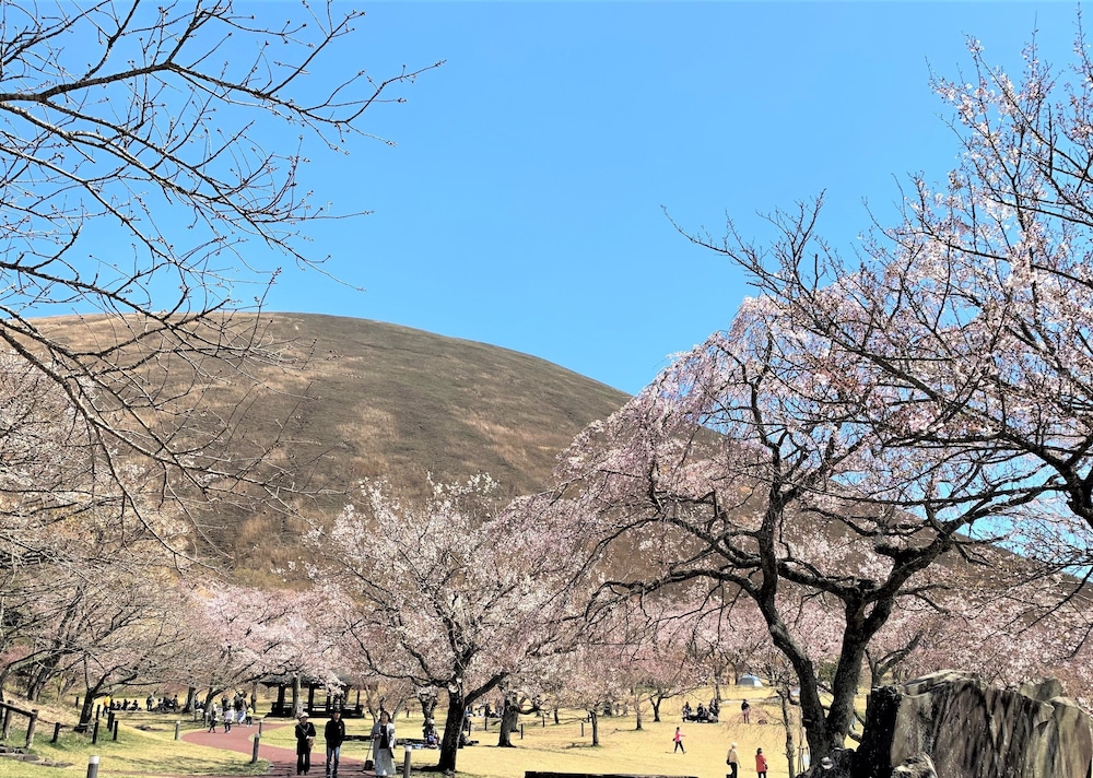 フォレスト ヴィラ オリーブ 東伊豆