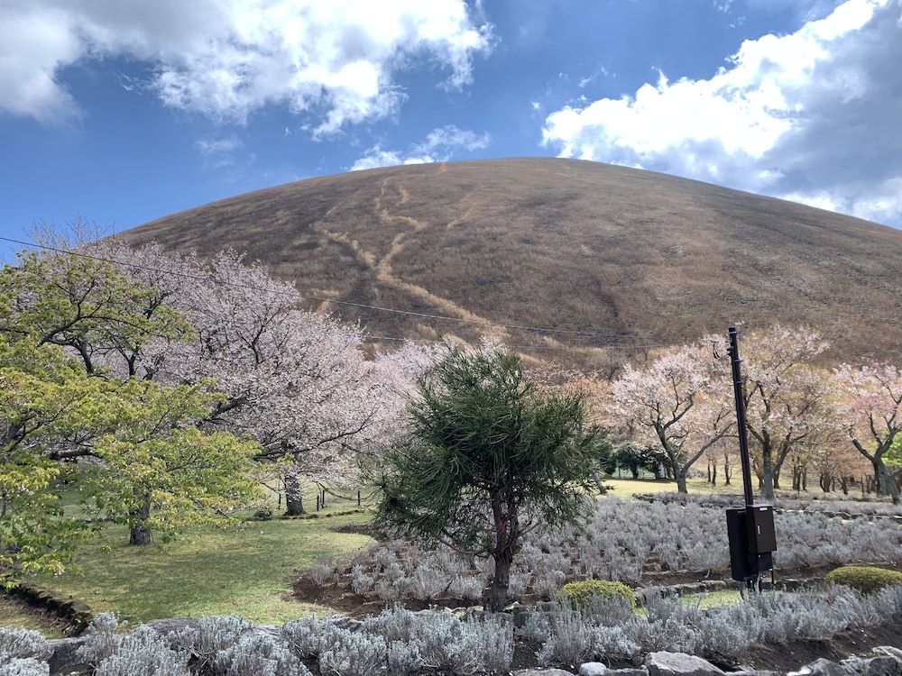 フォレスト ヴィラ オリーブ 東伊豆