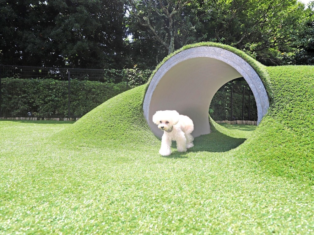 WAN'S RESORT 城ヶ崎海岸 東伊豆