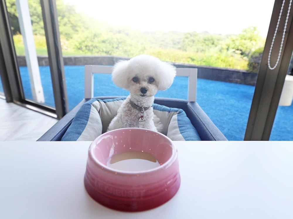 WAN'S RESORT 城ヶ崎海岸 東伊豆