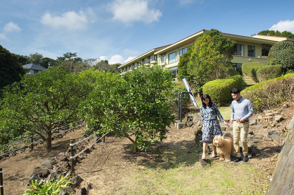 WAN'S RESORT 城ヶ崎海岸 東伊豆