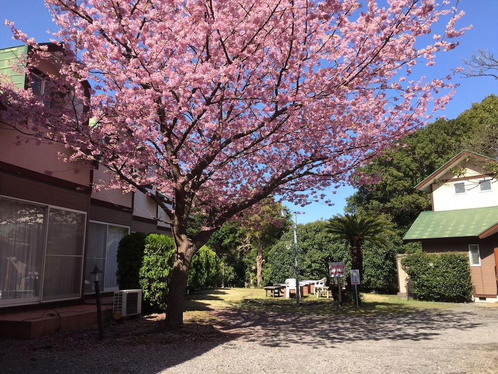 城ヶ崎オレンジ村 東伊豆