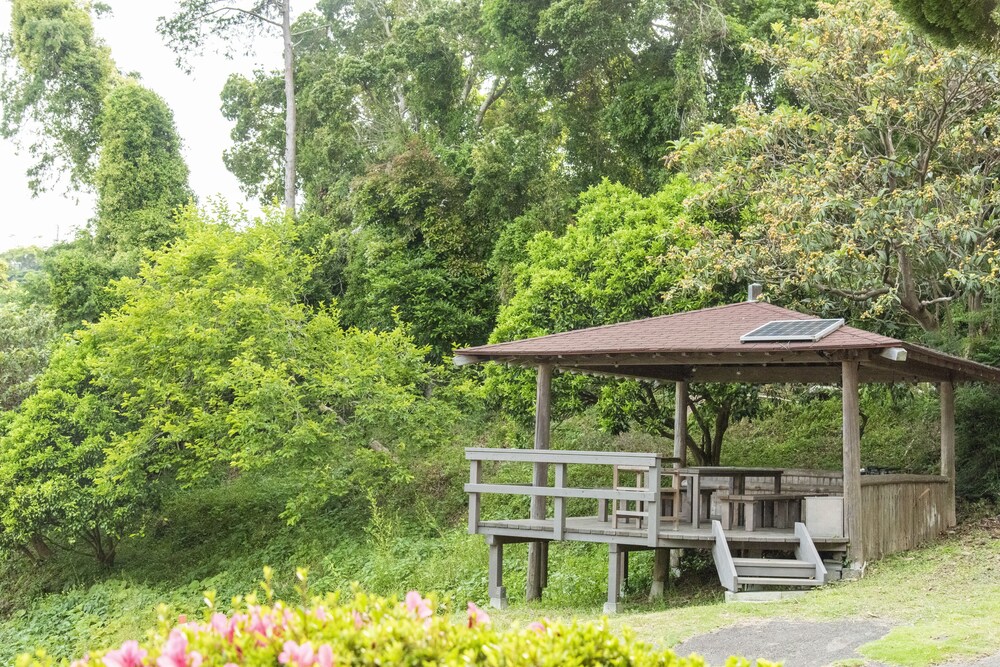 菖蒲沢ログ ハウス 東伊豆