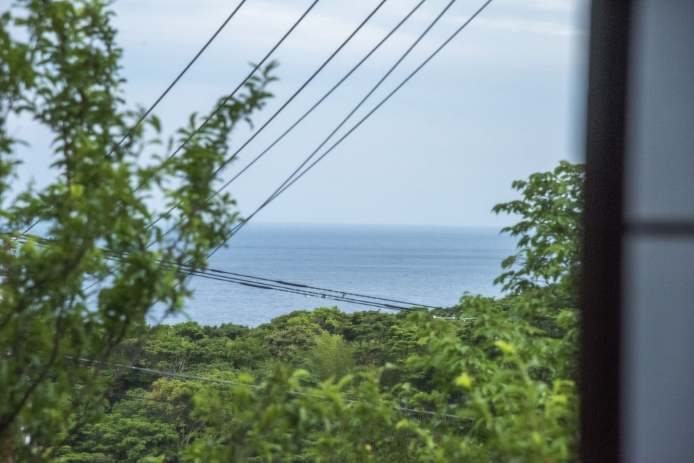 菖蒲沢ログ ハウス 東伊豆