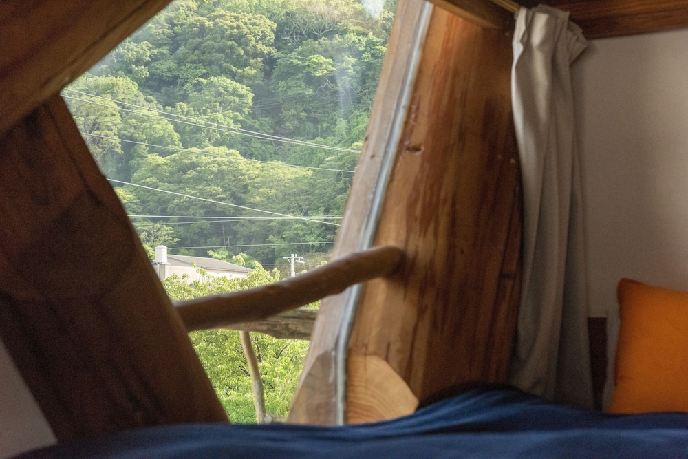 河津ログハウス 東伊豆