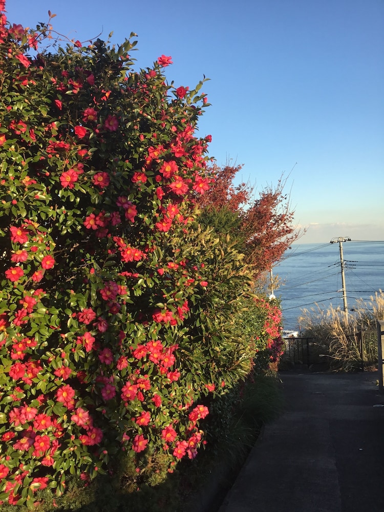 JAPAN COUNTRYSIDE ATAMI 熱海