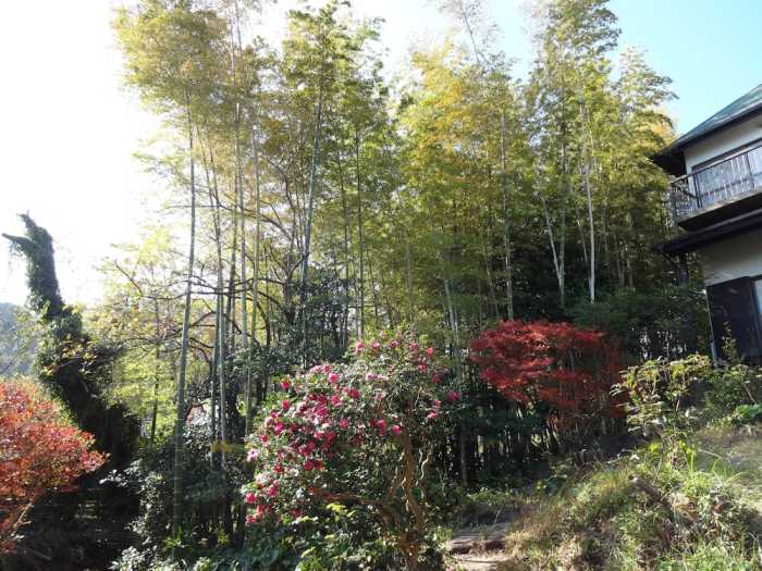 参道の旅籠 伊豆梛 熱海