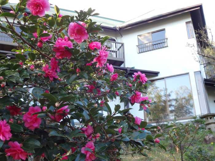 参道の旅籠 伊豆梛 熱海
