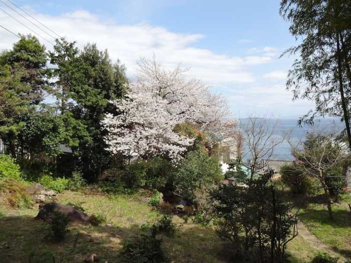 参道の旅籠 伊豆梛 熱海