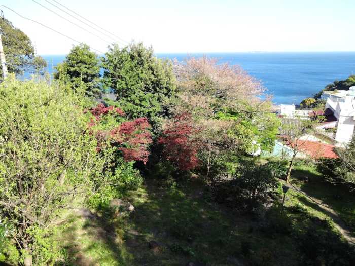 参道の旅籠 伊豆梛 熱海
