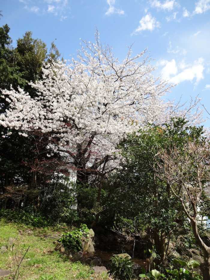 参道の旅籠 伊豆梛 熱海