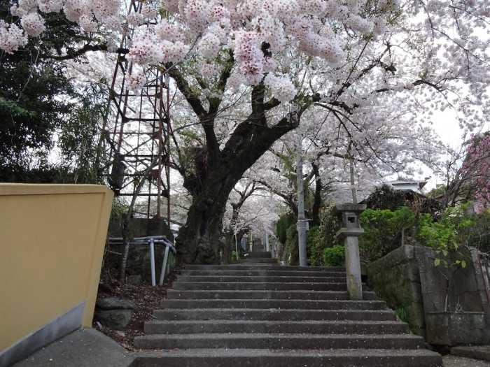 参道の旅籠 伊豆梛 熱海
