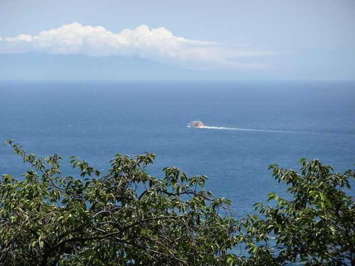 参道の旅籠 伊豆梛 熱海